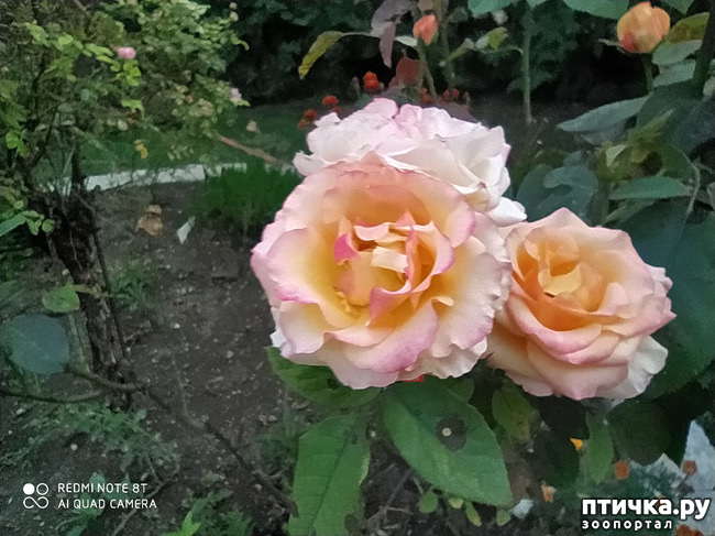 ���� 9: ������� ����� �����