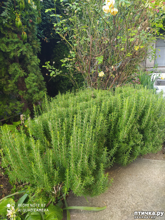 ���� 17: ������� ����� �����