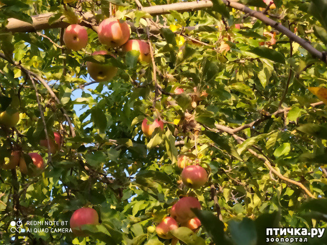 ���� 20: ������� ����� �����