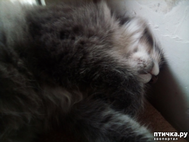 ���� 4: ����� ����� ����� �������