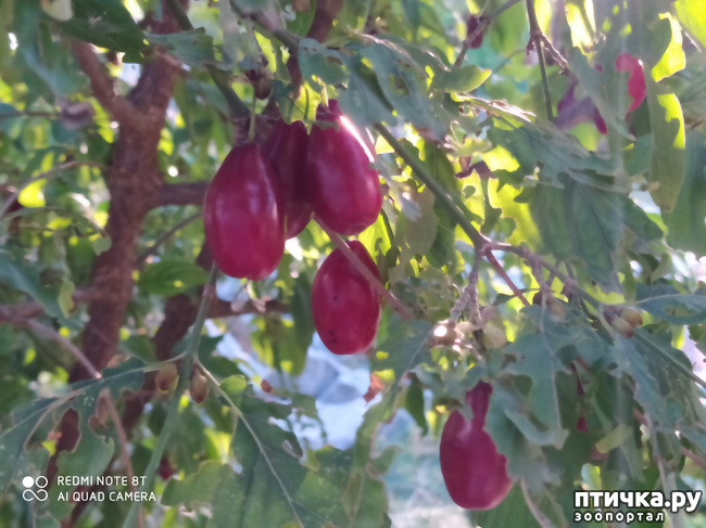 ���� 21: ������� ����� �����