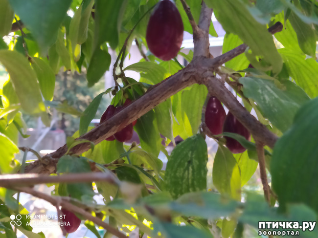 ���� 22: ������� ����� �����