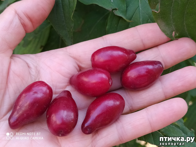 ���� 23: ������� ����� �����