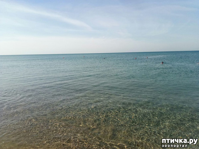 ���� 24: ������� ����� �����