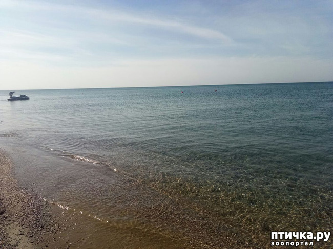 ���� 25: ������� ����� �����