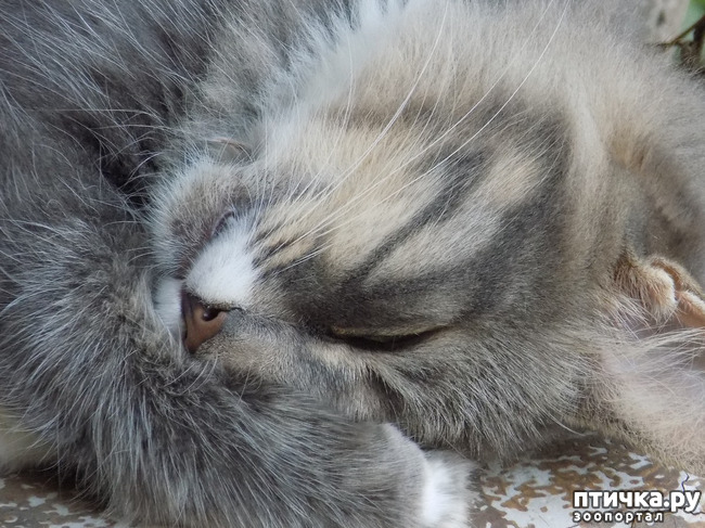 ���� 5: ����� ����� ����� �������