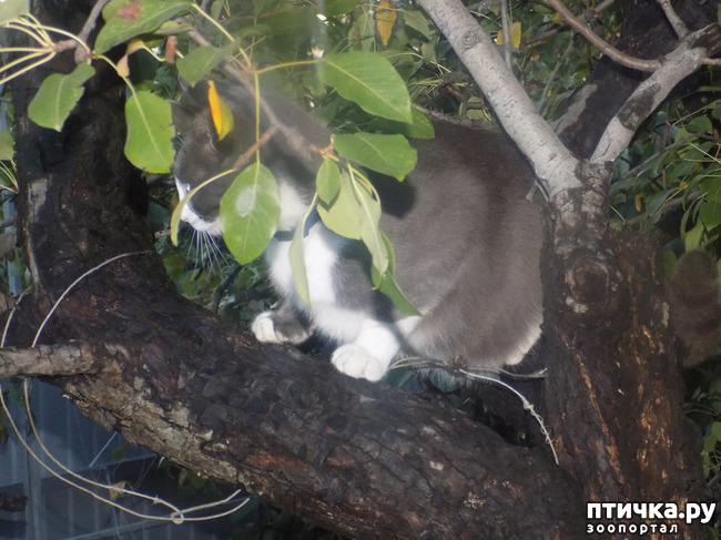 ���� 7: ����� ����� ����� �������