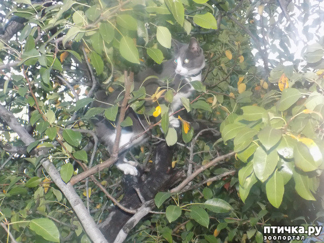 ���� 8: ����� ����� ����� �������