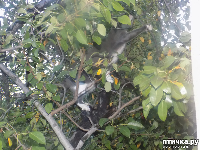 ���� 9: ����� ����� ����� �������