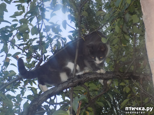 ���� 10: ����� ����� ����� �������