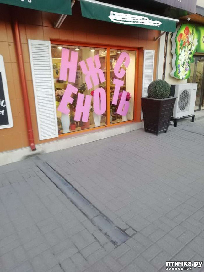 ���� 2: �������� ��������