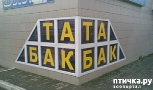 фотография: Странные таблички фото: Странные таблички