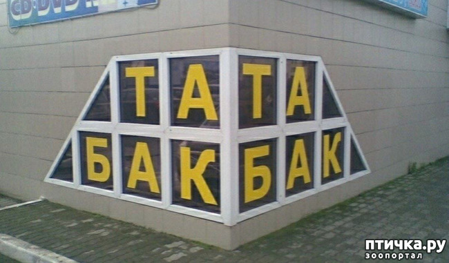 ���� 1: �������� ��������