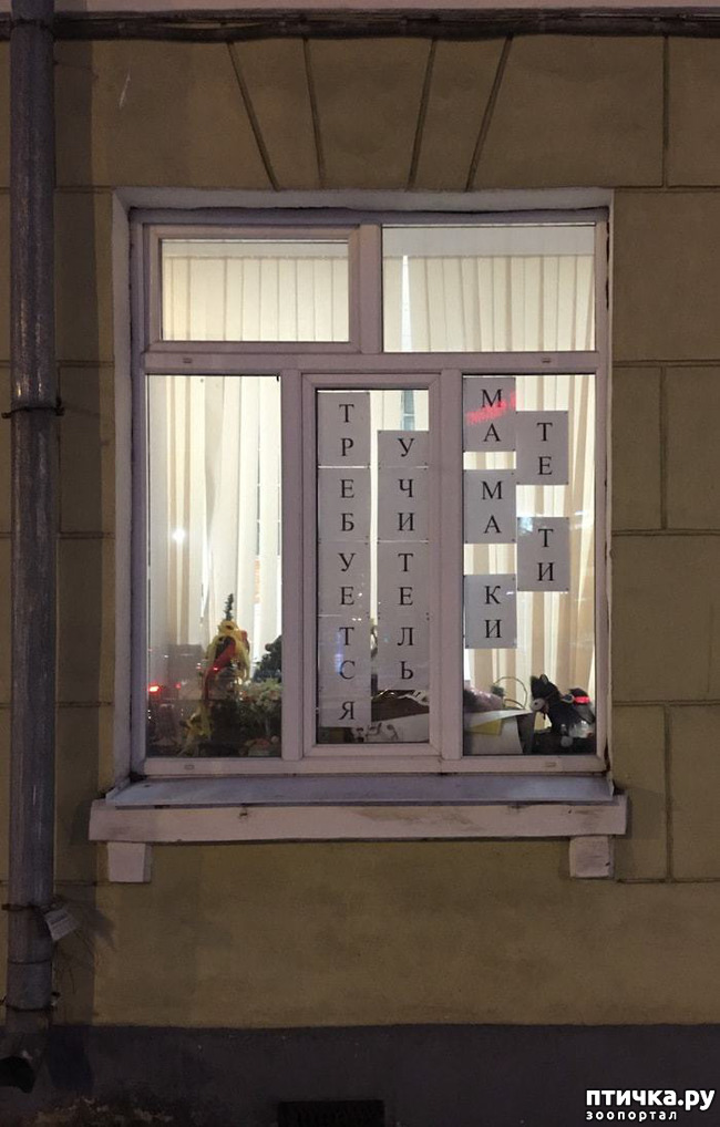 ���� 4: �������� ��������