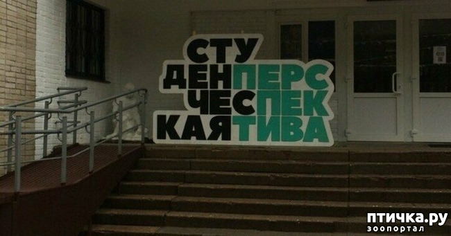 ���� 3: �������� ��������