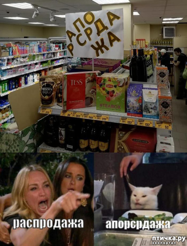 ���� 7: �������� ��������