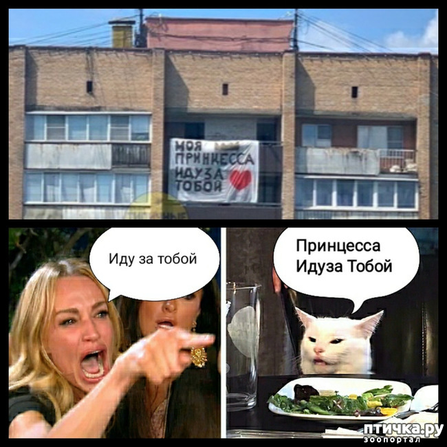 ���� 5: �������� ��������