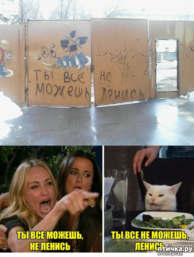 ���� 9: �������� ��������