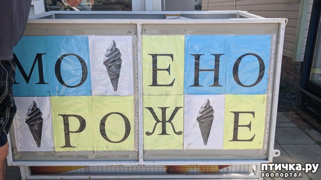 ���� 10: �������� ��������