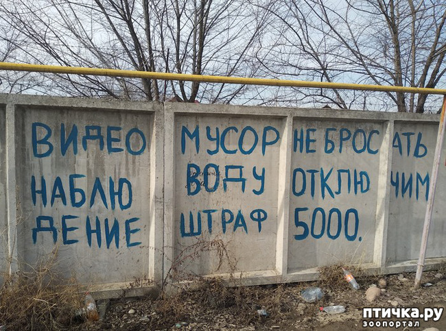 ���� 11: �������� ��������