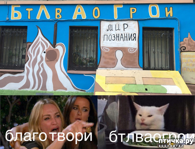 ���� 8: �������� ��������