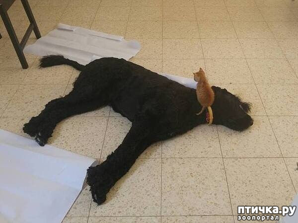 ���� 3: �� ��� ������, � ��� ����� ������ ��������... (����������� ����)