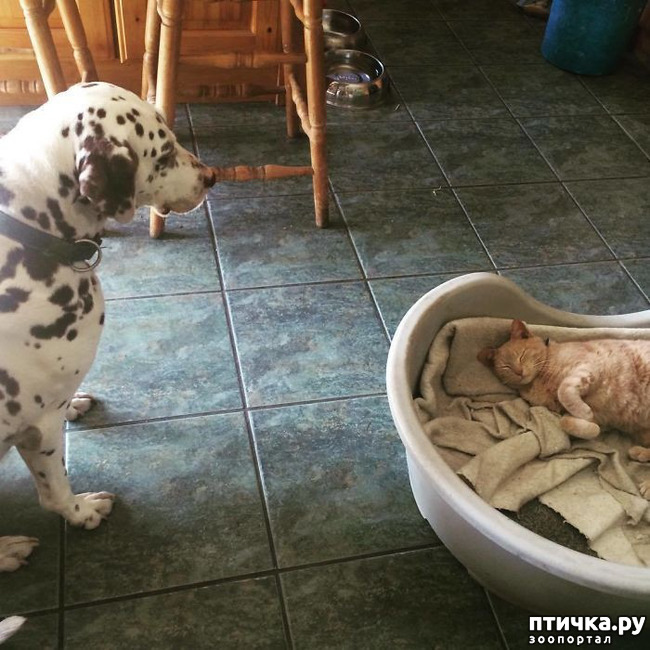 ���� 6: �� ��� ������, � ��� ����� ������ ��������... (����������� ����)