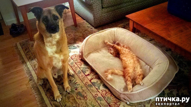 ���� 10: �� ��� ������, � ��� ����� ������ ��������... (����������� ����)