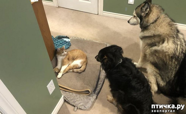 ���� 11: �� ��� ������, � ��� ����� ������ ��������... (����������� ����)