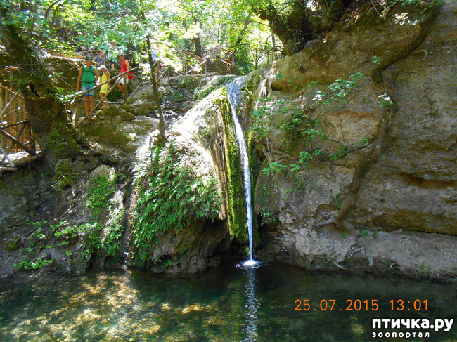 ���� 44: �� ������ �� ����������