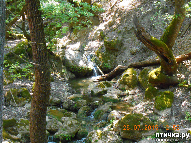 ���� 46: �� ������ �� ����������