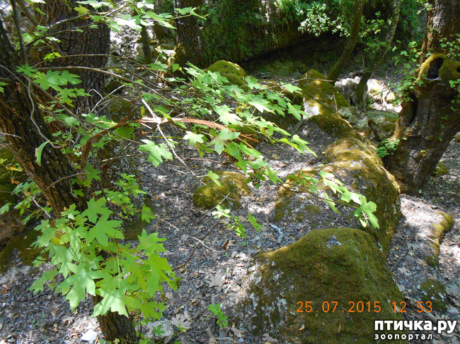 ���� 47: �� ������ �� ����������