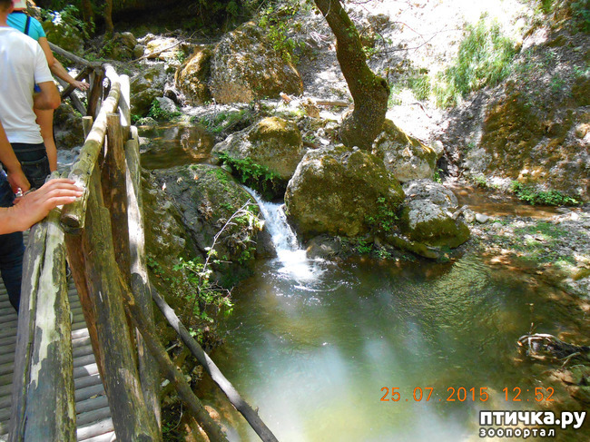 ���� 48: �� ������ �� ����������