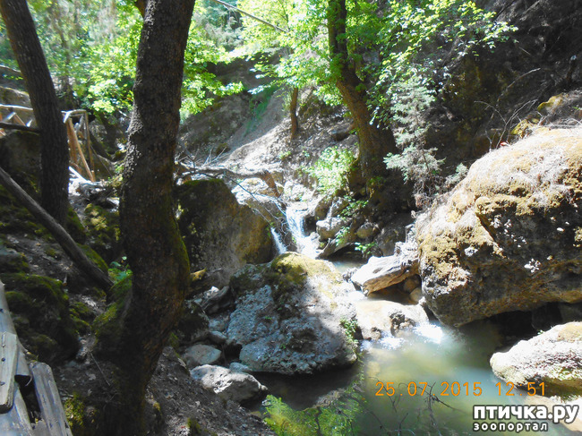 ���� 49: �� ������ �� ����������