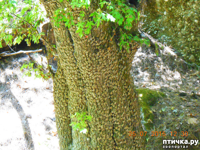 ���� 50: �� ������ �� ����������