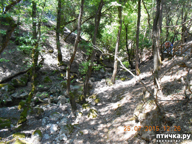 ���� 52: �� ������ �� ����������