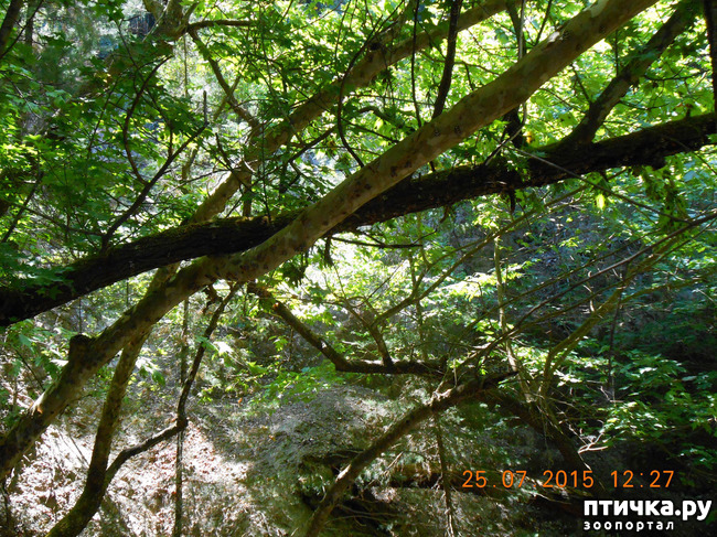 ���� 53: �� ������ �� ����������