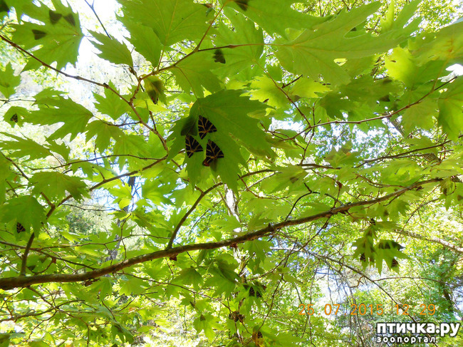 ���� 54: �� ������ �� ����������