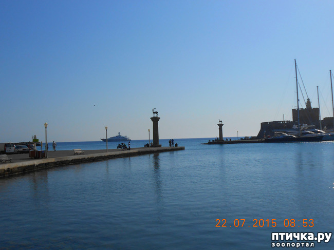 ���� 15: �� ������ �� ����������