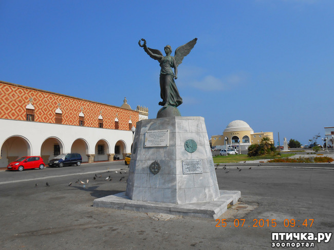 ���� 17: �� ������ �� ����������