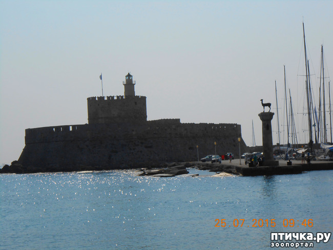 ���� 18: �� ������ �� ����������