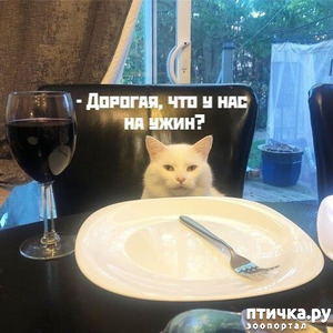 ����: ������� �����