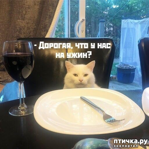 ���� 1: ������� �����