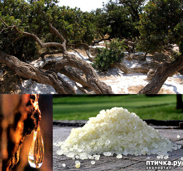 ���� 55: �� ������ �� ����������