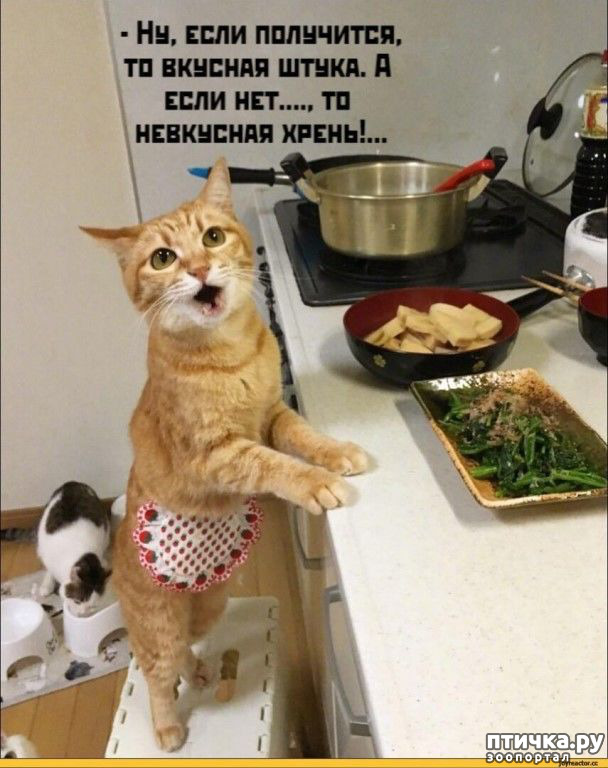 ���� 2: ������� �����