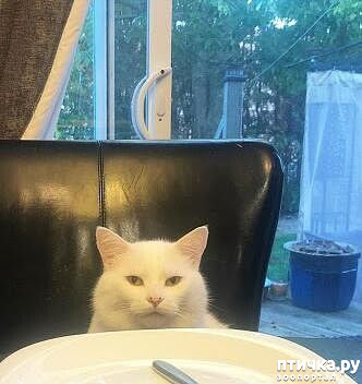 ���� 3: ������� �����