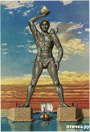 ����: �� ������ �� ����������