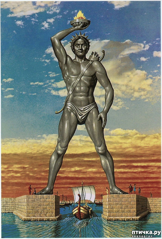 ���� 1: �� ������ �� ����������