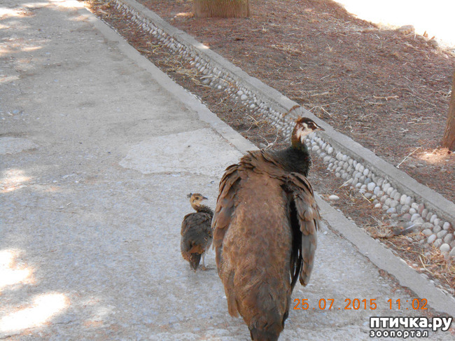 ���� 31: �� ������ �� ����������