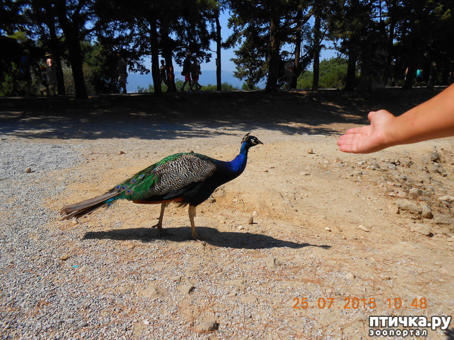 ���� 30: �� ������ �� ����������